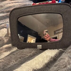 Gray Travel Bug Mirror for baby in car